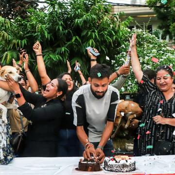 Supreme Court eases stray dog rules, allows release post-sterilisation