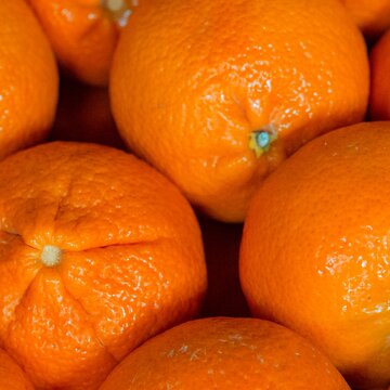 Here’s why you should have oranges every day this winter