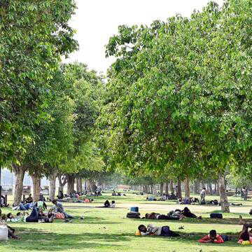After years of no data, Delhi begins first-ever tree census to reveal the city's real green cover