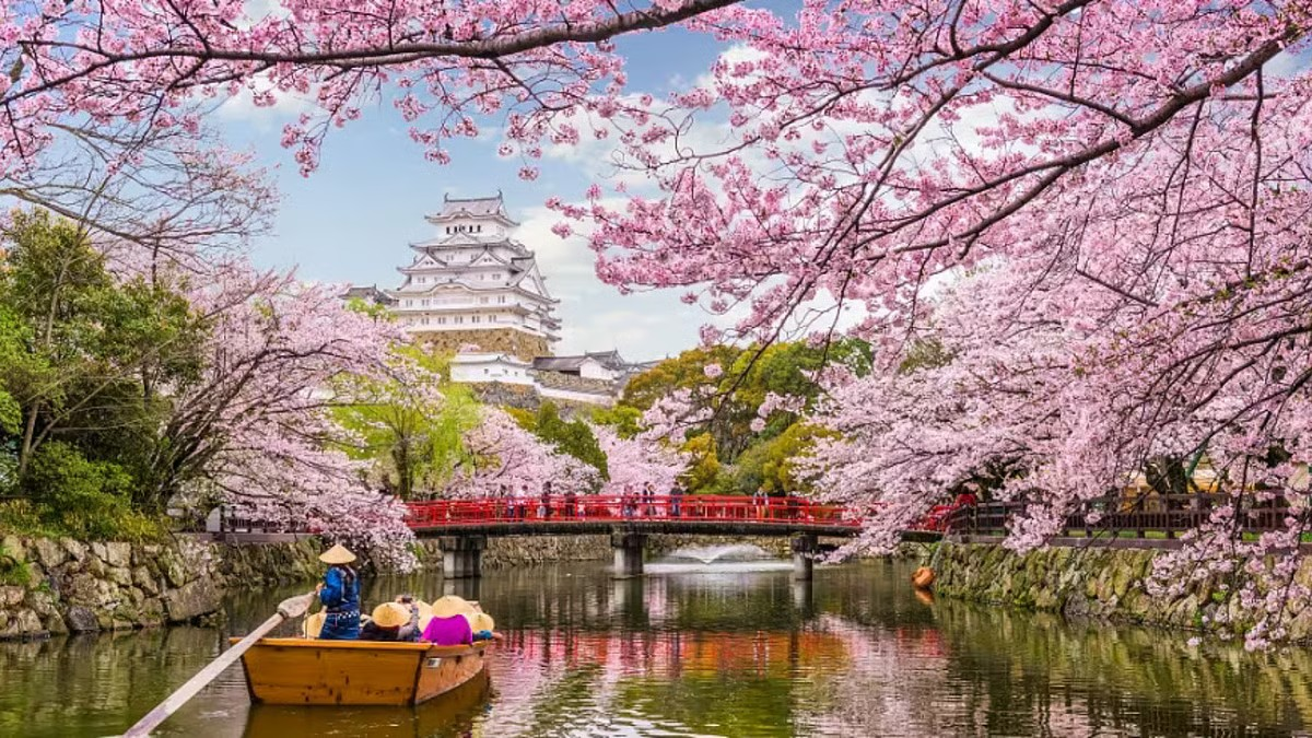 Experience Japan’s Cherry Blossom Festival with IRCTC’s exclusive Kolkata tour package