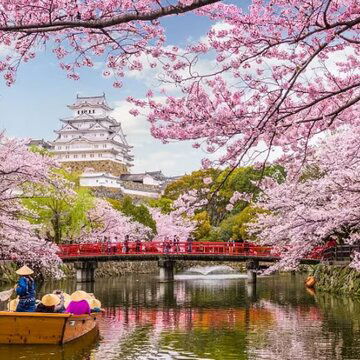 Experience Japan’s Cherry Blossom Festival with IRCTC’s exclusive Kolkata tour package