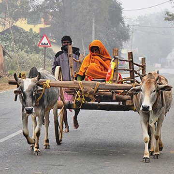 Purulia rivals Kalimpong as tourists flock in droves as severe winter tightens its hold