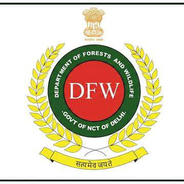 Delhi Forest department plans mega drive to plant 5 lakh saplings across city