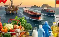 Which items might get costlier for Indians if Strait of Hormuz crisis continues? Here's the list