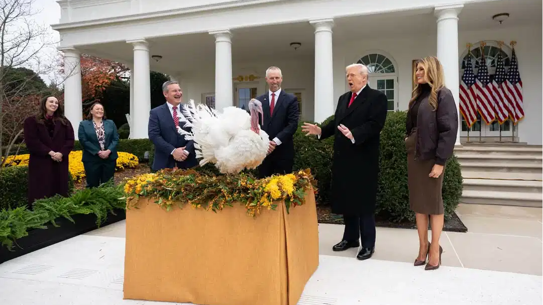 Why did Trump 'pardon' two turkeys at the White House? Explained