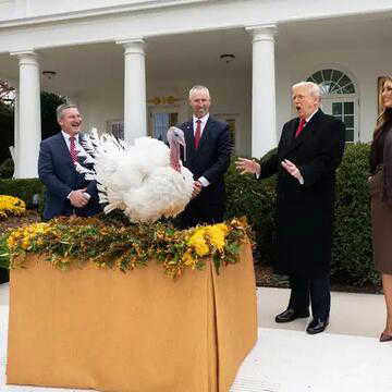 Why did Trump 'pardon' two turkeys at the White House? Explained
