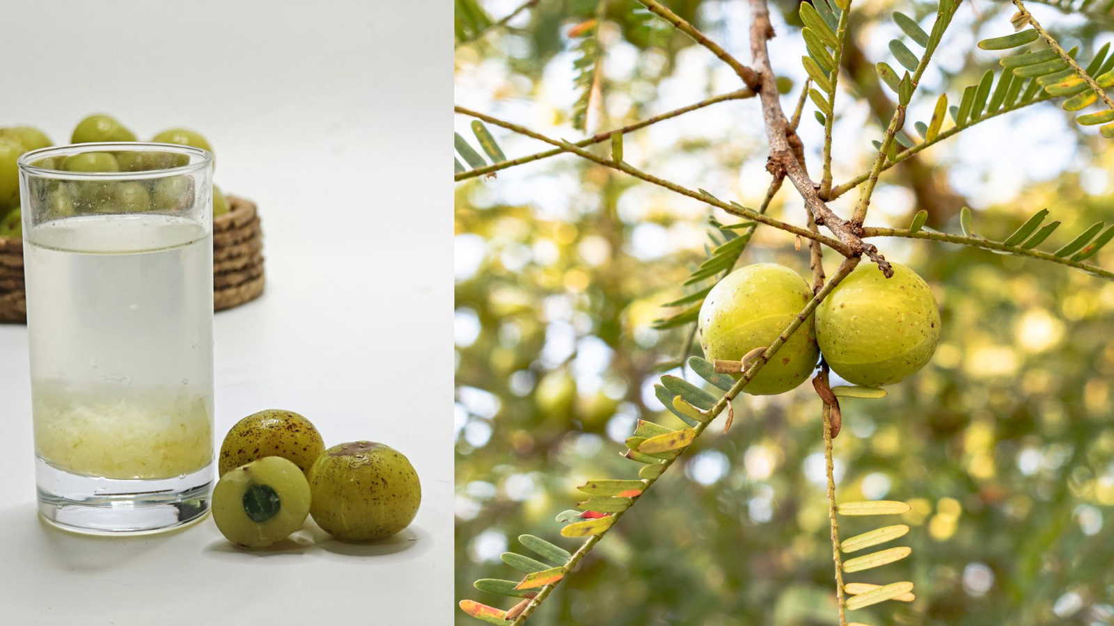 What happens when you eat one amla every day during this winter season?