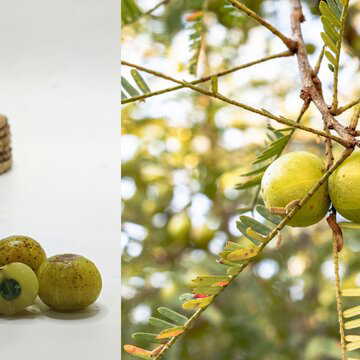 What happens when you eat one amla every day during this winter season?