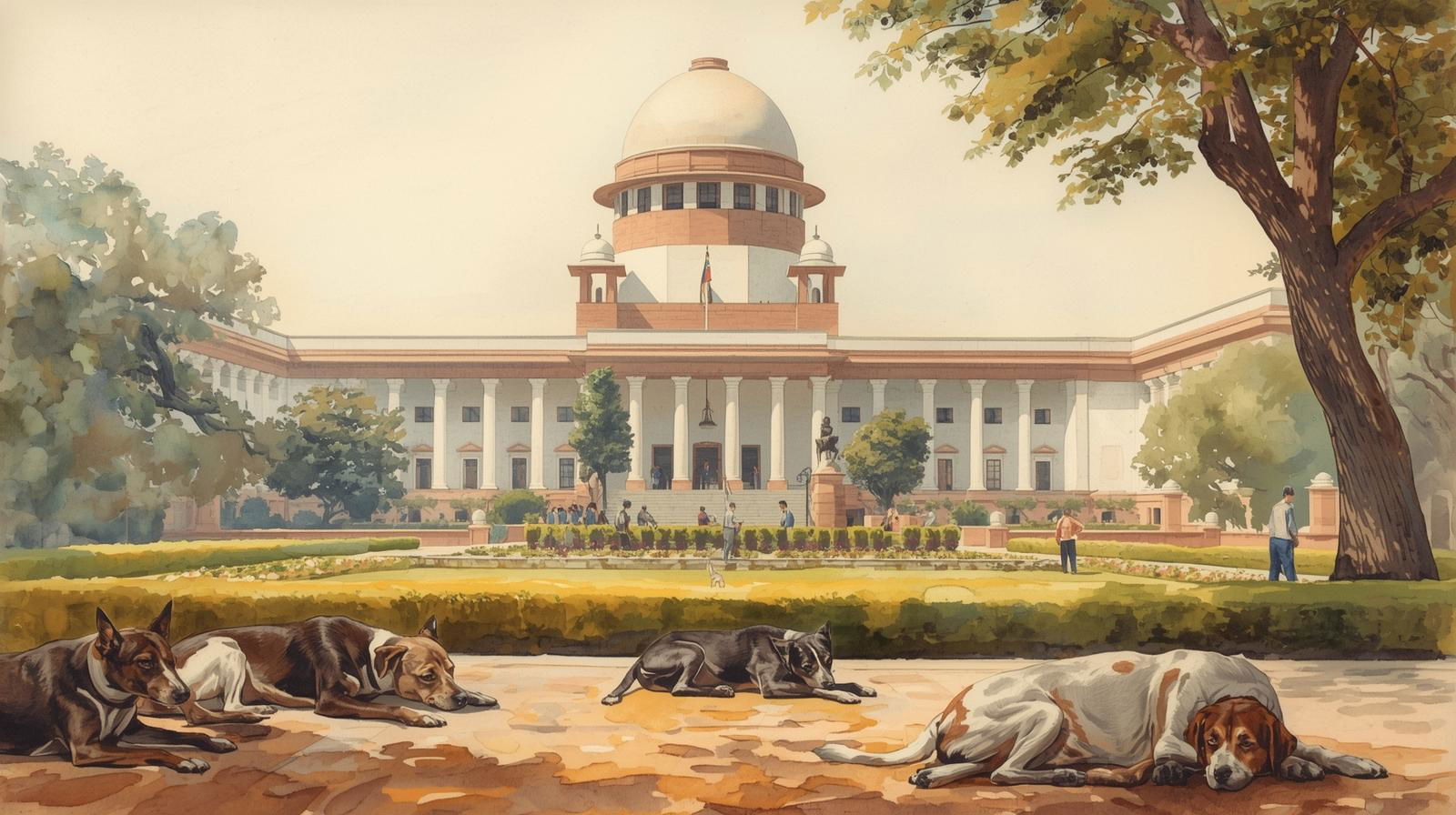 ‘Shift them to shelters’: Supreme Court orders stray removal from public spaces