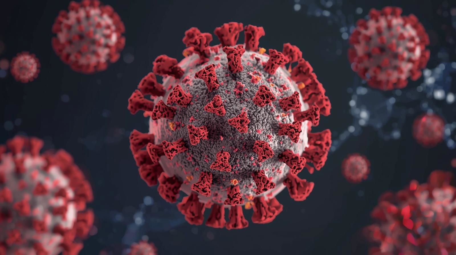 What is the new COVID variant 'Stratus', rampant in the US? Symptoms, precautions, all you need to know