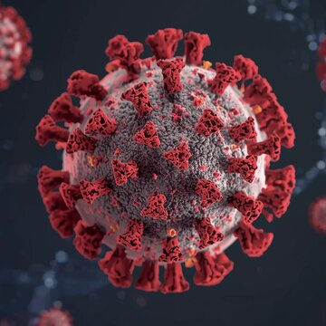 What is the new COVID variant 'Stratus', rampant in the US? Symptoms, precautions, all you need to know