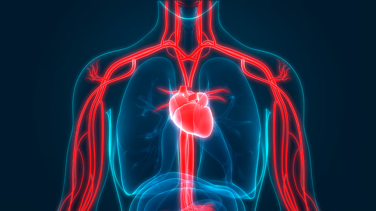 Silent blood clots can form in your heart’s arteries: What foods can help you avoid this risk?