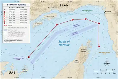 IMO halts Hormuz evacuation after ship attack sparks fresh security fears