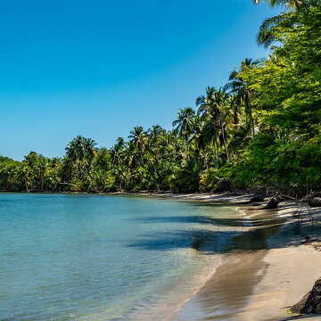 Tired of crowded beaches? These offbeat Indian islands offer pure serenity