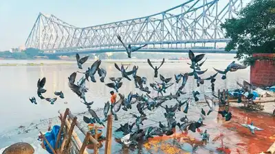 Kolkata swelters under rising heat, nor’wester may bring relief on Sunday