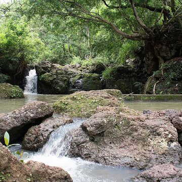 Discover Jharkhand’s hidden gems: Netarhat and Betla in a 3-day trip