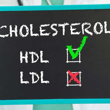 HDL vs LDL: Why boosting ‘good’ cholesterol is key to heart health