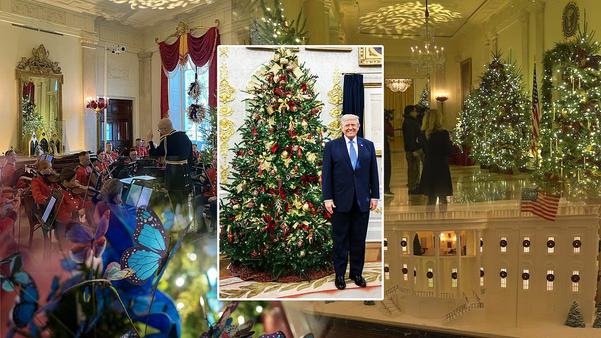 White House unveils this year's Christmas theme, decked up with massive Christmas trees, colourful butterflies and more