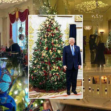 White House unveils this year's Christmas theme, decked up with massive Christmas trees, colourful butterflies and more