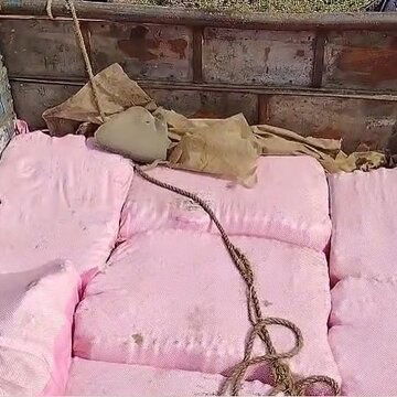 Vehicle carrying 20,000 gelatin sticks seized in West Bengal after Delhi Red Fort blast, one arrested