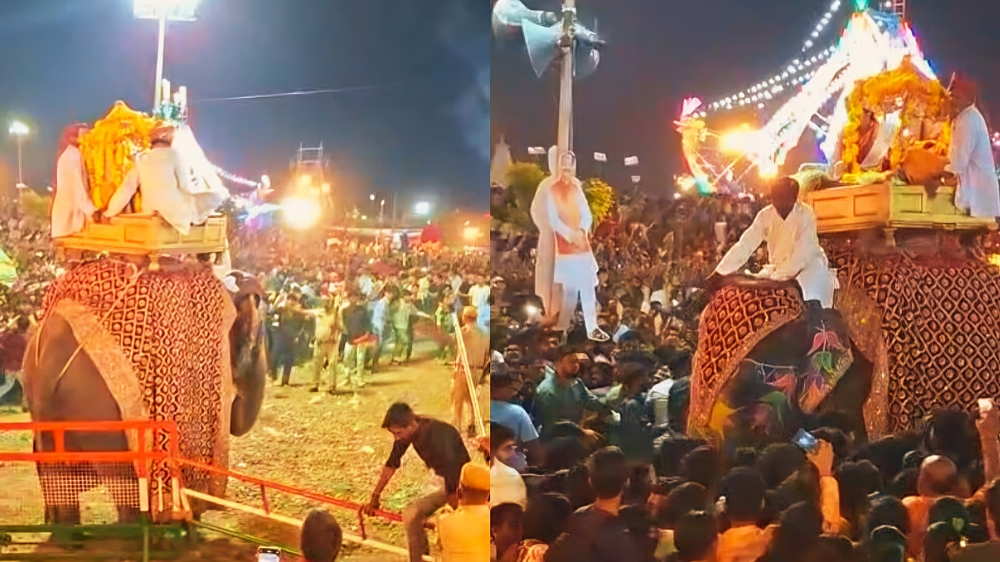 Rampaging elephant causes chaos at Kota’s Lakshminarayan Dussehra procession