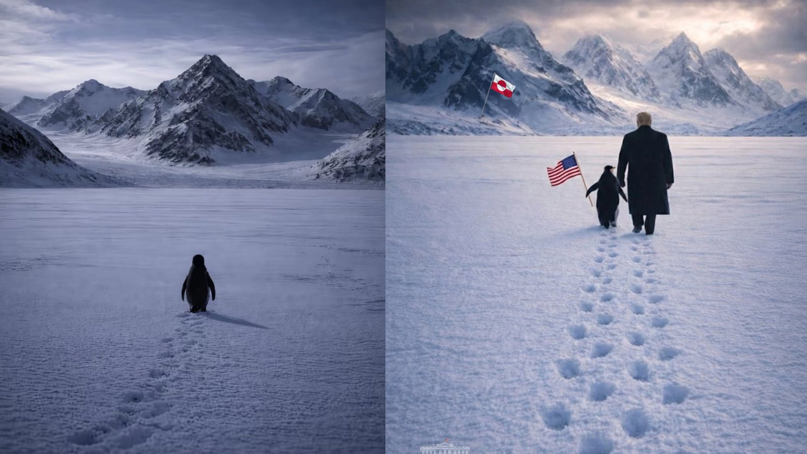 What is the viral ‘Nihilist Penguin’ trend? The viral moment even Trump couldn’t ignore