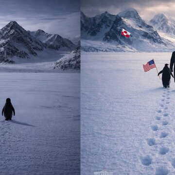 What is the viral ‘Nihilist Penguin’ trend? The viral moment even Trump couldn’t ignore