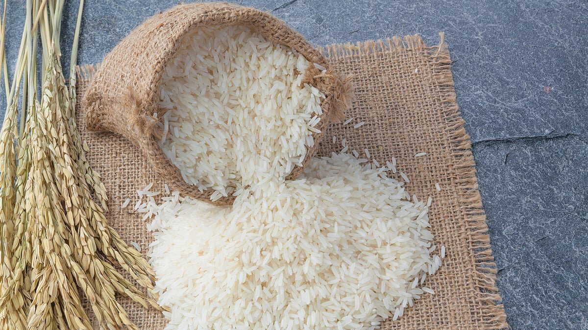 How to check for plastic rice at home: Simple tests every consumer should know