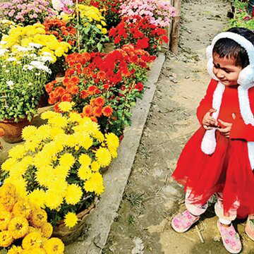 Tourists flock to flower fair to see exotic blooms from abroad