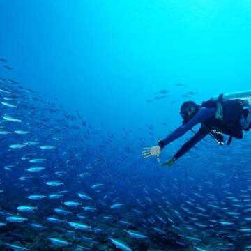 Diglipur emerges as Andaman’s new scuba diving paradise with 4 new dive sites