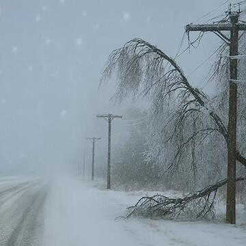 'Historic' winter storm paralyses US: Over 11,000 flights cancelled, thousands left in dark