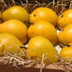 Japan bans Indian mango imports after 20 years over pest-control concerns