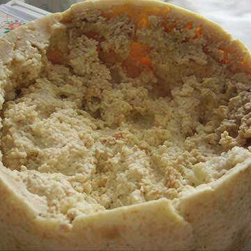 Do you know which cheese is the world’s most dangerous? Here`s all you need to know