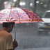 Storms to lash South Bengal at 60 kmph; when will norwester hit Kolkata?