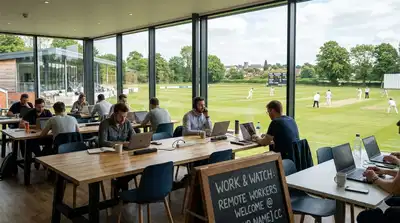 ‘Work from Oval’: UK cricket ground becomes workspace as remote workers attend live matches