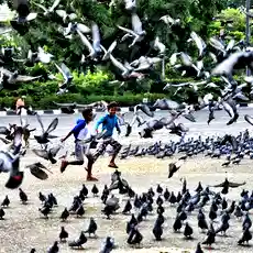 Delhi records season’s hottest day at 34.4°C as warm conditions persist