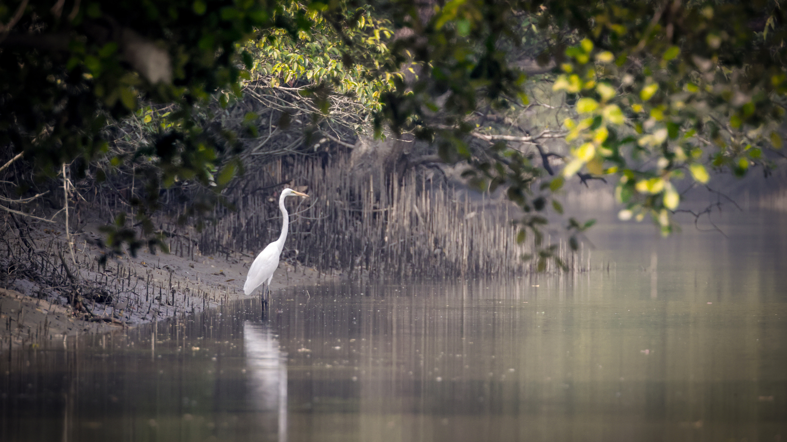 From beaches to mangroves: Here are 5 coastal sanctuaries for your 2025 end year trips