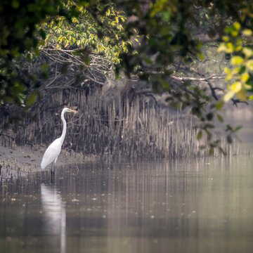 From beaches to mangroves: Here are 5 coastal sanctuaries for your 2025 end year trips