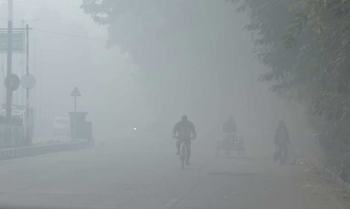 Kolkata shivers under cold wave; Darjeeling at 5.4°C, snowfall likely