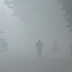 Kolkata shivers under cold wave; Darjeeling at 5.4°C, snowfall likely