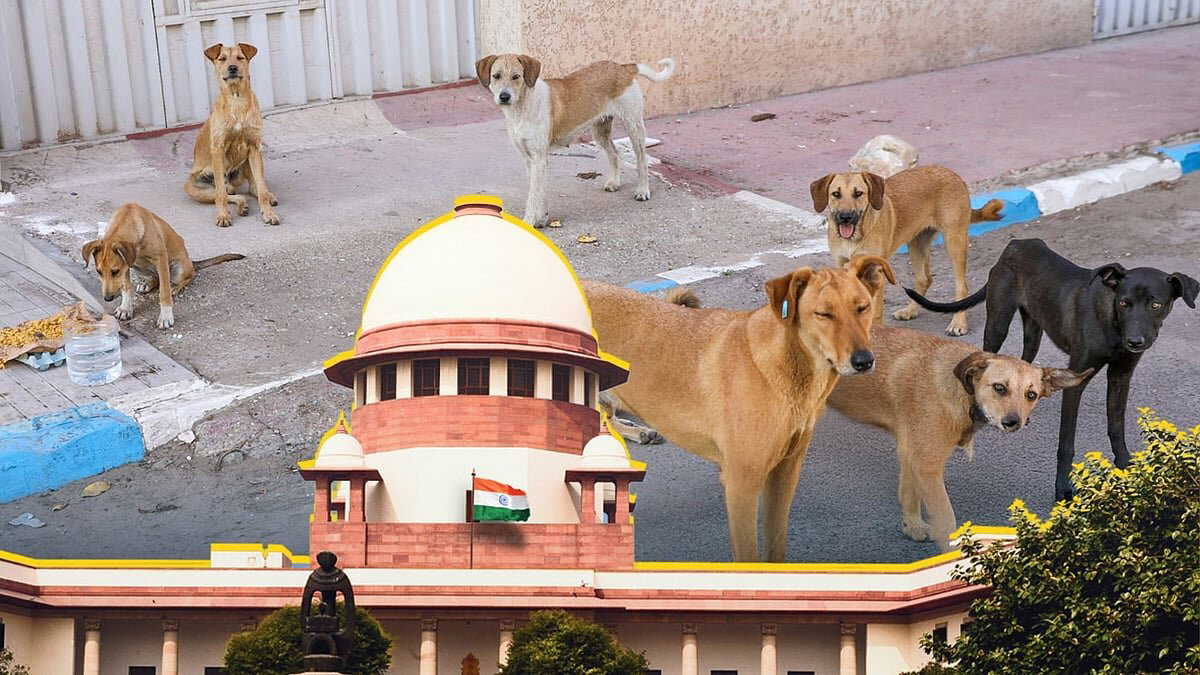 Supreme Court says animal behaviour cannot be predicted, raises concerns over safety of other animals