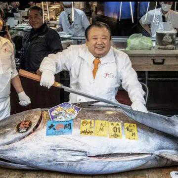 Tuna King buys bluefin tuna for record 510.3 million yen at Tokyo auction