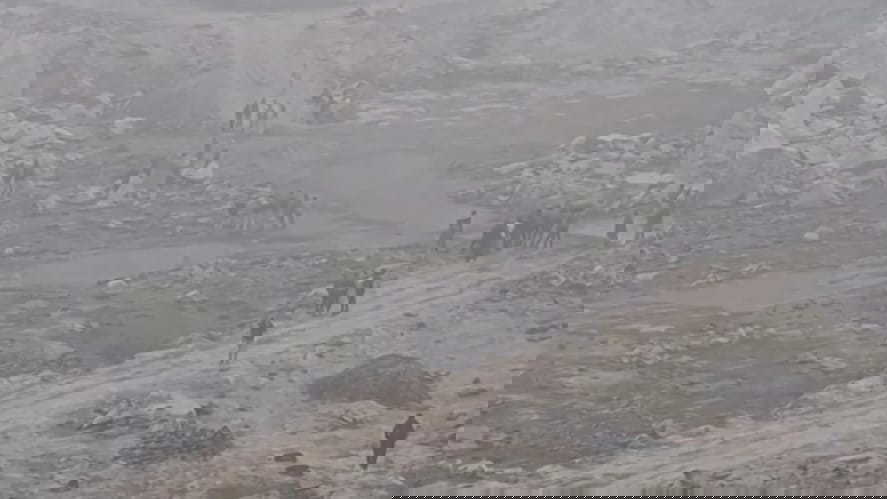 Stone quarry collapse in Odisha's Dhenkanal leaves several workers feared dead