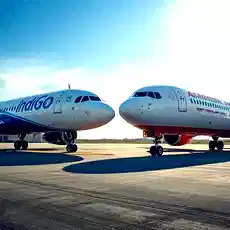 DGCA's 2024-25 crackdown: 352 show-cause notices issued to airlines, IndiGo and Air India top list