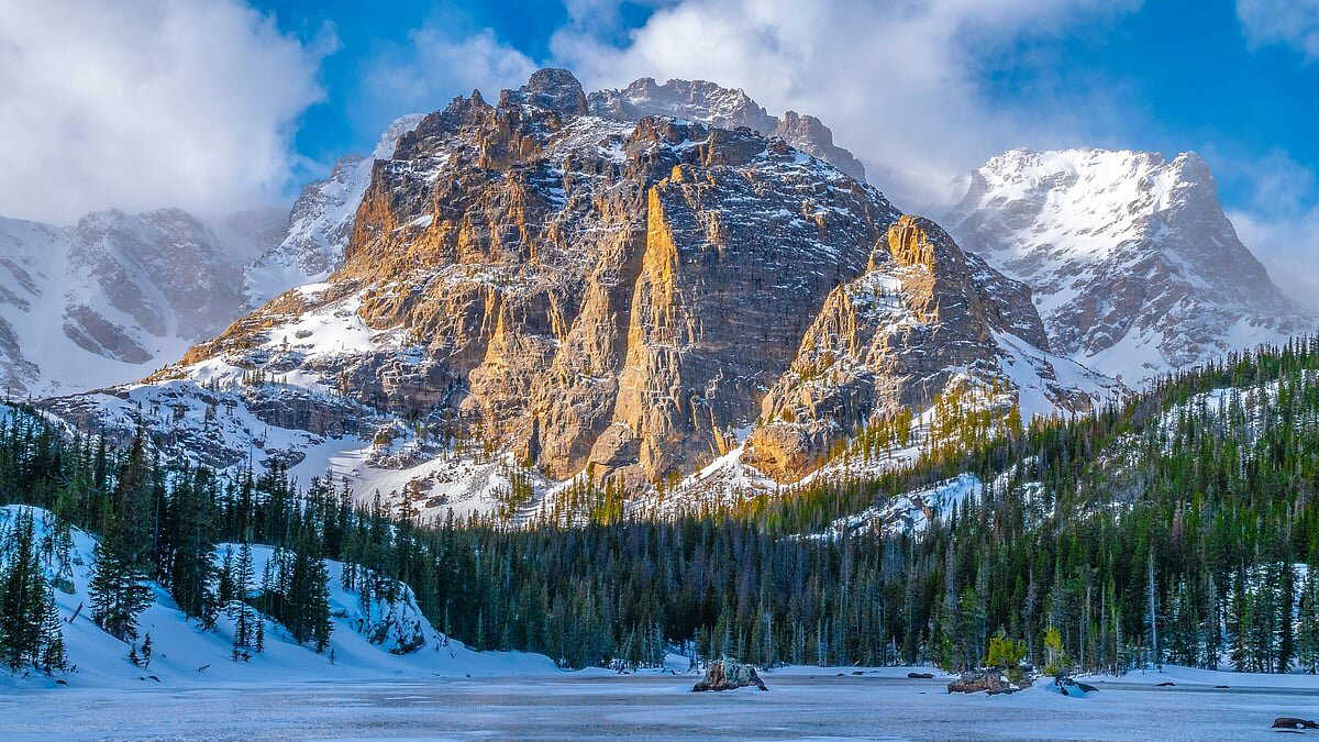 Planning a winter getaway? These national parks offer the best wildlife experiences