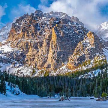 Planning a winter getaway? These national parks offer the best wildlife experiences