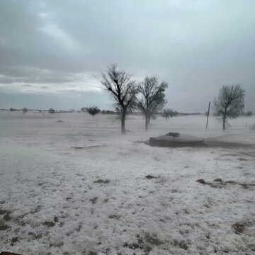 'Not Kashmir...': Unusual hailstorm hits Rajasthan, turns Bikaner fields white overnight