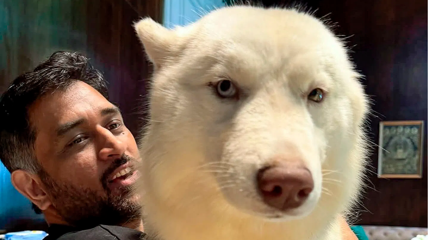 New feather in the cap: MS Dhoni earns DGCA drone pilot certification with Garuda Aerospace