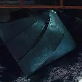 World’s first ‘dinosaur leather’ bag unveiled, debate over authenticity begins