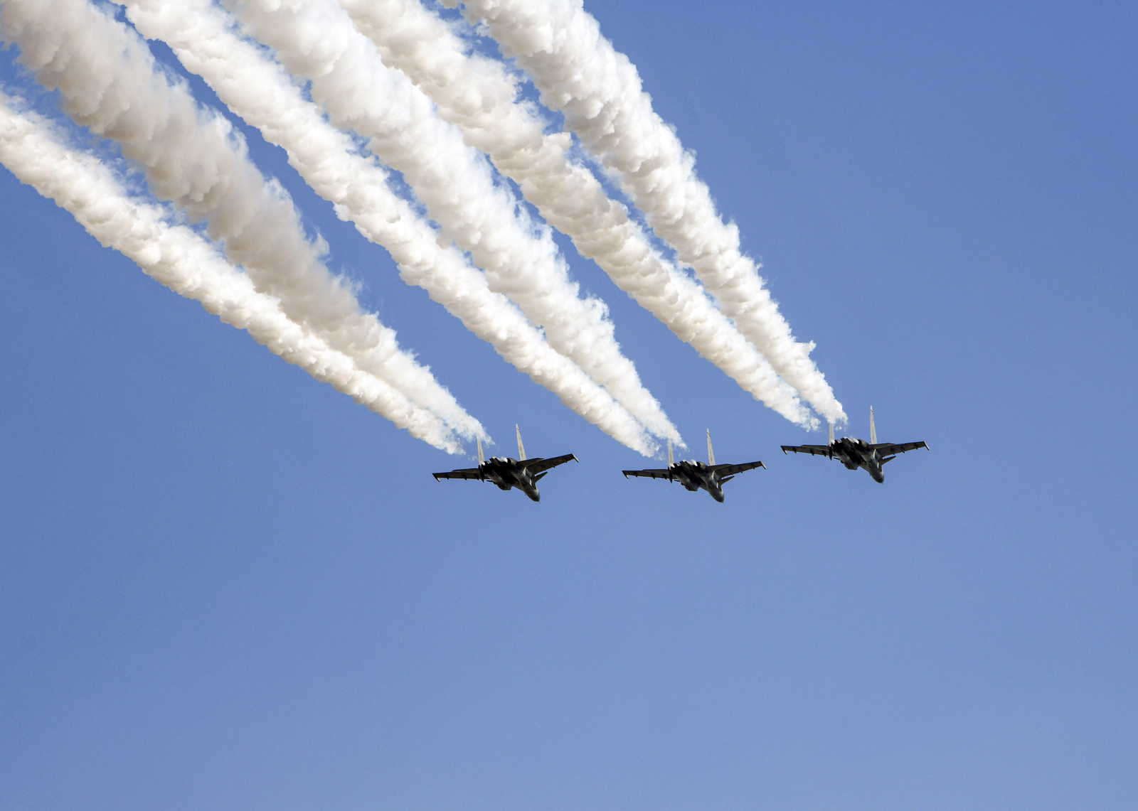 Republic Day flypast: How 1,270 kg of chicken will keep Delhi’s skies bird-free